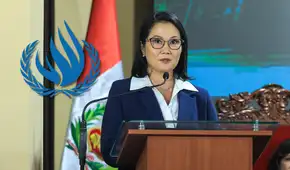 Relatores de la ONU expresan preocupación por riesgos para el ambiente y derechos humanos en el pedido de facultades