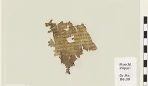 Investigador descubre un escrito inédito de la Odisea de Homero dentro de una biblioteca holandesa: "Este pasaje, en cambio, es realmente divertido"