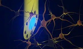 Científicos crean un implante cerebral multifuncional y del grosor de una aguja capaz de realizar 3 funciones a la vez