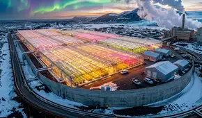 Los agricultores comenzaron a cultivar plátanos y fresas en un país cubierto de hielo durante casi todo el año