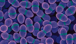 Un antiguo antibiótico demuestra una vez más su eficacia frente a una superbacteria