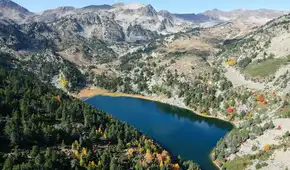 Científicos eliminaron a peces invasores de 2 lagos montañeses de España: en tan solo 10 meses los anfibios e invertebrados regresaron Científicos eliminaron a peces invasores de 2 lagos montañeses de España: en tan solo 10 meses los anfibios e invertebrados regresaron