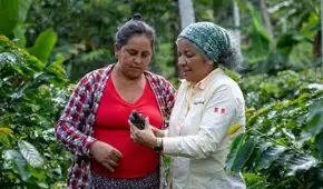 Productores de café, cacao y palma listos para exportar a Europa con “cero deforestación”