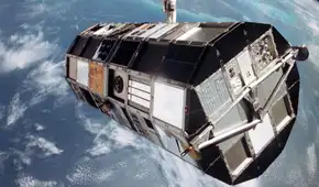 La NASA envió 132.000 semillas de tomate al espacio en 1984: seis años después los científicos descubrieron algo inesperado