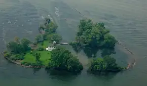 En 2013, replantaron una isla entera con 60.000 plantas: 10 años después, lograron un impactante resultado