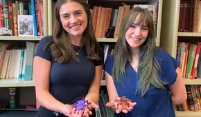 Dos estudiantes encontraron una nueva especie de protoanfibio de hace 309 millones de años y le pusieron el nombre de sus madres