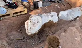 Un paleontólogo aficionado descubre el fósil casi completo de un titanosaurio de 10 metros de altura mientras paseaba con su perro