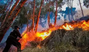 Alerta roja por incendios forestales en nueve regiones: riesgo se mantiene hasta el 5 de octubre