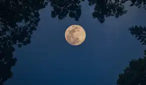 Calendario lunar de octubre 2026: cuándo habrá luna llena y cuáles serán las fases lunares de este mes