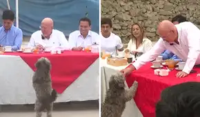 Perrito interrumpe desayuno electoral de Carlos Bruce y asistentes reaccionan dándole de comer en VMT