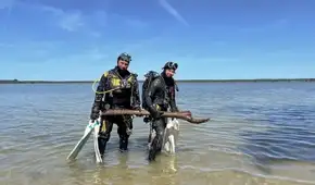 Investigadores hallan en un lago de Alemania maderas talladas de hace 10.500 años que podrían cambiar lo que sabemos de nuestros antepasados Investigadores hallan en un lago de Alemania maderas talladas de hace 10.500 años que podrían cambiar lo que sabemos de nuestros antepasados