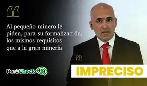 Es impreciso que los mineros artesanales tengan los mismos requisitos de formalización que la gran minería