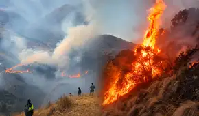 Cusco suma cerca de 280 incendios forestales y cinco fallecidos: seis emergencias todavía siguen activas
