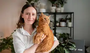 La psicología revela por qué algunas personas prefieren vivir con gatos: buscan compañía sin tener que estar rodeadas de gente