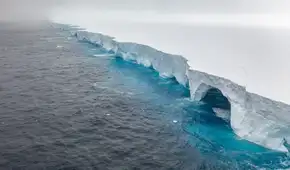 Las evidencias del fondo marino de la Antártida revelan cómo el hielo detuvo su retroceso y avanzó 65 kilómetros