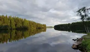 Finlandia ordena detener dos centros de datos de Google tras descubrir que sus contratistas talaron más de 330 hectáreas de bosque protegido