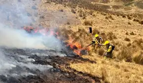 Incendio forestal arrasa más de 1.000 hectáreas y amenaza el Bosque de Piedras de Huayllay en Pasco