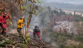 Río Tambo en emergencia por incendio forestal que arrasa bosques, cultivos y viviendas: municipio pide apoyo urgente