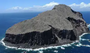 Eliminaron 6.000 ratas y 60 cabras de una isla donde solo quedaba un árbol: sin plantar nada la vegetación aumentó un 2.000% Eliminaron 6.000 ratas y 60 cabras de una isla donde solo quedaba un árbol: sin plantar nada la vegetación aumentó un 2.000%