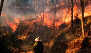 59 incendios forestales activos en todo el Perú: comunidades pierden cultivos, viviendas y ganado
