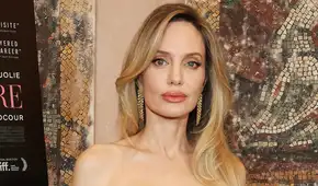 Angelina Jolie llegó a Camboya para rodar una película y fundó una ONG que combate la caza furtiva y ayuda a las comunidades rurales Angelina Jolie llegó a Camboya para rodar una película y fundó una ONG que combate la caza furtiva y ayuda a las comunidades rurales