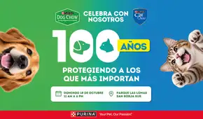 ¿Buscas un plan petfriendly? Purina celebra sus 100 años con actividades gratuitas para familias y mascotas