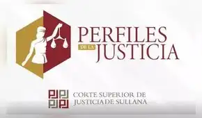 ENTREVISTA Luz Pacheco Zerga | Perfiles de la Justicia