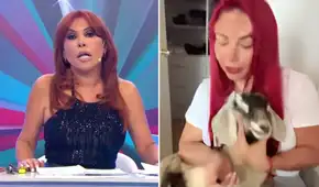 Magaly Medina queda impactada tras ver imágenes de Deysi Araujo con un cabrito y exige que las quiten de su programa: "Son chocantes"