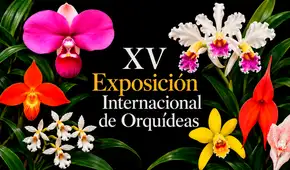 Lima será sede del evento de orquídeas más grande del país por los 40 años de la Sociedad Peruana de Orquídeas