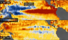 La NASA advierte sobre el posible El Niño más intenso desde 1950: detectan calentamiento anómalo y cambios de color en el Pacífico