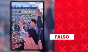 Es falso que este video de una multitud con banderas palestinas muestre las protestas actuales en Francia: las imágenes son de 2025