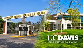 Oportunidades de pasantías en EE. UU.: Universidad Agraria La Molina y la Universidad de Califormnia-Davis coordinan programas de intercambio