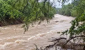 Lluvias en el norte por El Niño: tres quebradas se activan y dejan vías afectadas en Tumbes