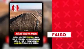 Es falsa la imagen del gato gigante de Nasca: fue generada con IA y no corresponde al geoglifo real descubierto en 2020