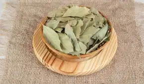 Colocar una hoja de laurel seca detrás de la puerta de casa: por esta razón lo relacionan con la buena suerte y la protección del hogar Colocar una hoja de laurel seca detrás de la puerta de casa: por esta razón lo relacionan con la buena suerte y la protección del hogar