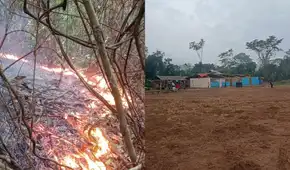 “Lo han perdido todo”: comunidades piden ayuda al Gobierno tras incendios forestales que arrasaron sus cultivos