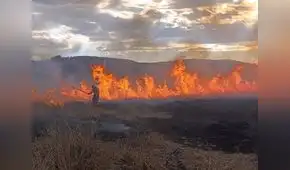 Incendios forestales: Las consecuencias y la desatención