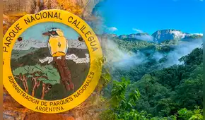 La histórica donación de 76.000 hectáreas de la familia Blaquier que ayudó a crear un parque nacional para proteger una selva única de Argentina