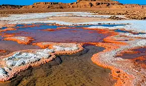 Uno de los lugares más calientes del mundo alberga vida: así es el desierto patrimonio de la humanidad cuyo suelo superó los 80 °C