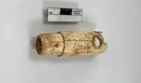 Un instrumento que no escuchó Odiseo: arqueólogos descubren en la antigua Troya una flauta de hueso de hace 2.700 años