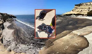 Reportan derrame de petróleo en playas del distrito de Lobitos en Piura