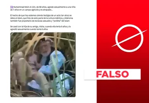 Video no muestra ni a un musulmán agrediendo sexualmente a una menor ni a esta como su esposa