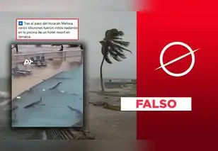 Tiburones no nadaron en piscina en Jamaica durante el paso del huracán Melissa: video fue hecho con IA