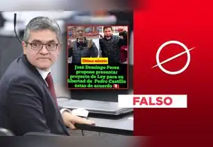 El fiscal José Domingo Pérez no hizo un proyecto ley para liberar a Pedro Castillo