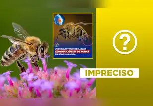 Estudios si afirman que el veneno de la abeja puede combatir el cáncer de mama, pero no al 100% y tampoco es reciente
