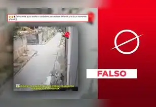 Este video sí muestra a un ciudadano defendiéndose de un ladrón, pero ocurrió hace 7 años y no en Perú