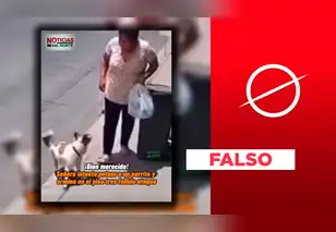 Video viral de mujer que cae tras intentar agredir a un perro fue creado con inteligencia artificial