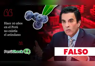 ¿Hace diez años no existían los arándanos? Es falso lo que dijo el candidato Carlos Espá