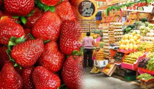 Alertan que fresas de Lima y Callao tienen pesticidas fuera de límites permitidos