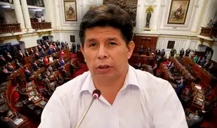 Castillo puede postular al Senado hasta no tener una condena en su contra o estar inhabilitado Castillo puede postular al Senado hasta no tener una condena en su contra o estar inhabilitado